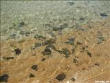 Playa Escondida - FAJARDO